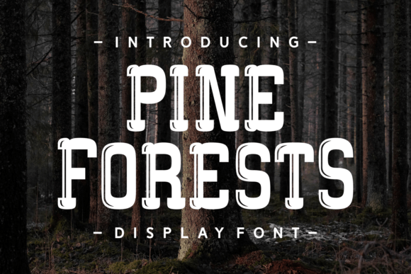 Embrace the Frontier: The Pine Forests Display Font