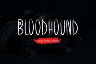 Exploring the Bloodhound Display Typeface